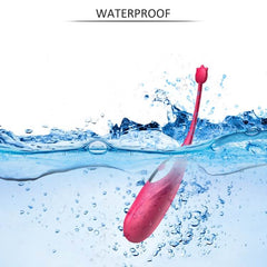 Remote Control Kegel Balls Vagina Tight Exercise