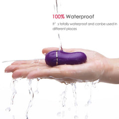 Balls Wireless Remote Vibrator Balls