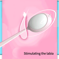 Wireless Remote Control G Spot Vibrator Clitoris Stimulator